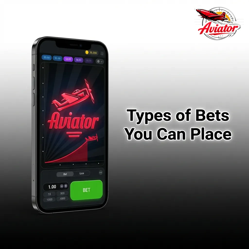 Illustration showing different betting options including single bet, dual-bet, auto-bet, and manual play features