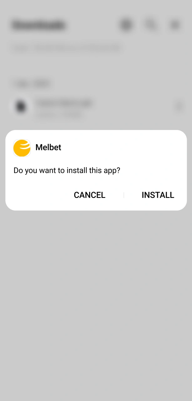 Allow the installation to overwrite the old Melbet Aviator version.
