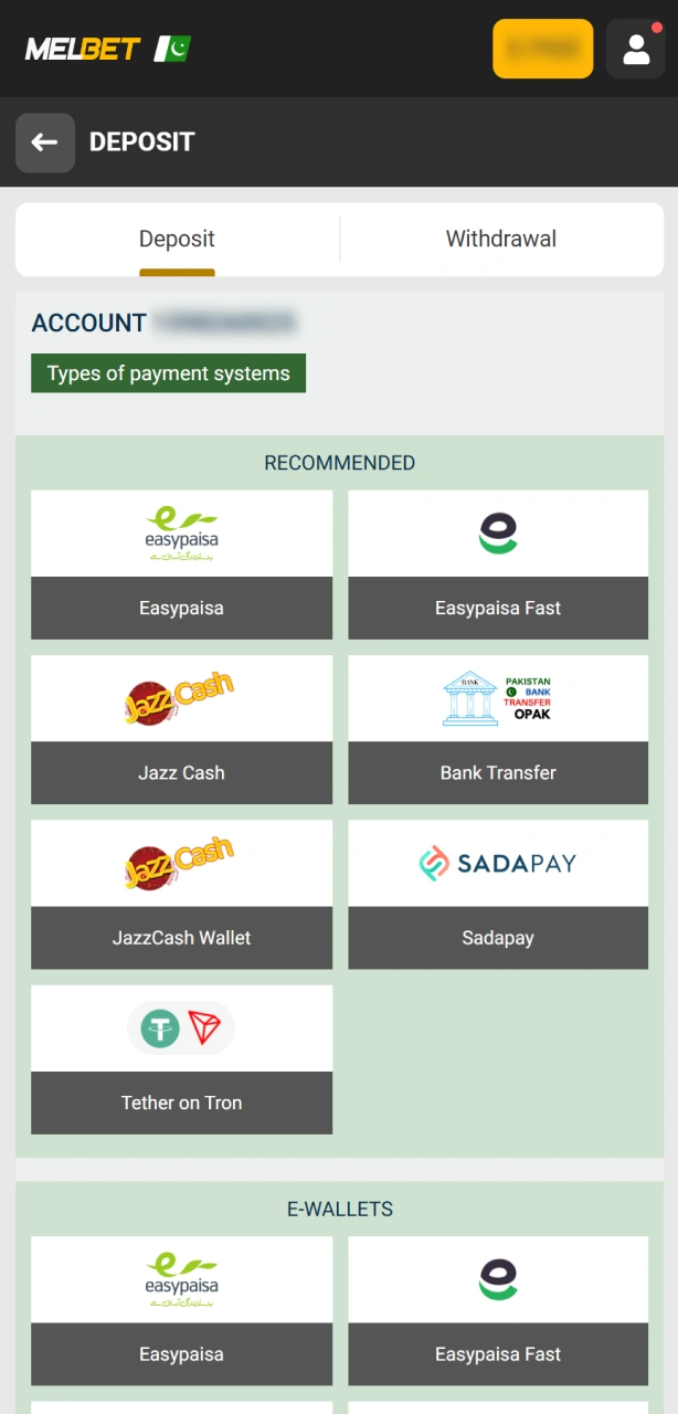 Make your first deposit at Melbet to start playing Aviator.